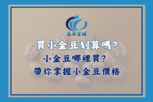 小金豆價格